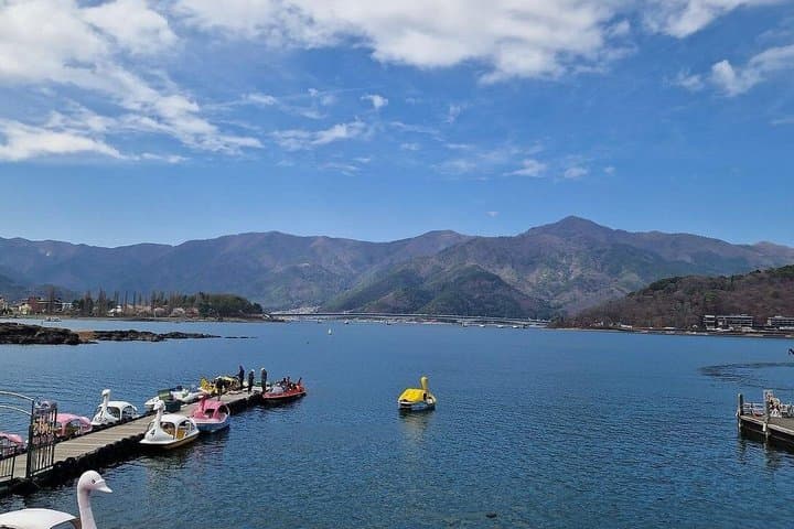 Mount Fuji Full-Day Private Customized Luxury Tour English Guide — photo 8