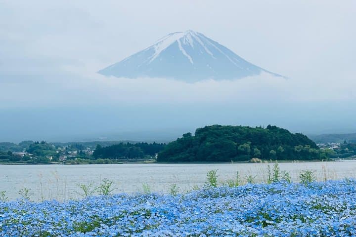Mount Fuji Full-Day Private Customized Luxury Tour English Guide — photo 11