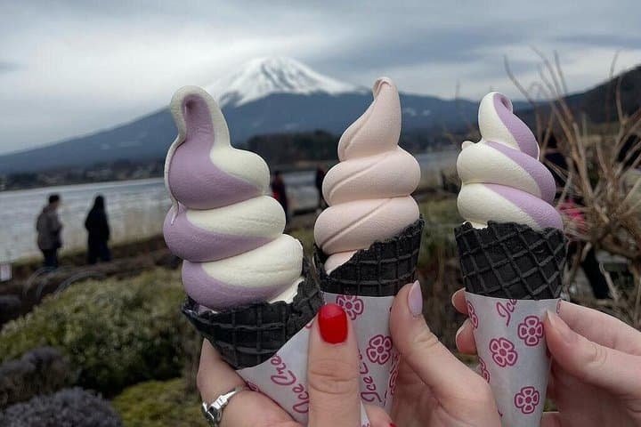 Mount Fuji Full-Day Private Customized Luxury Tour English Guide — photo 12