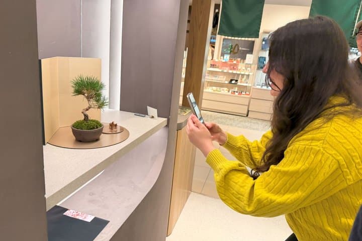 Authentic Bonsai Art Workshop in Tokyo — photo 11