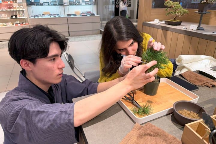 Authentic Bonsai Art Workshop in Tokyo — photo 4