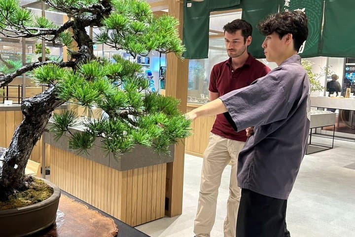 Authentic Bonsai Art Workshop in Tokyo — photo 2