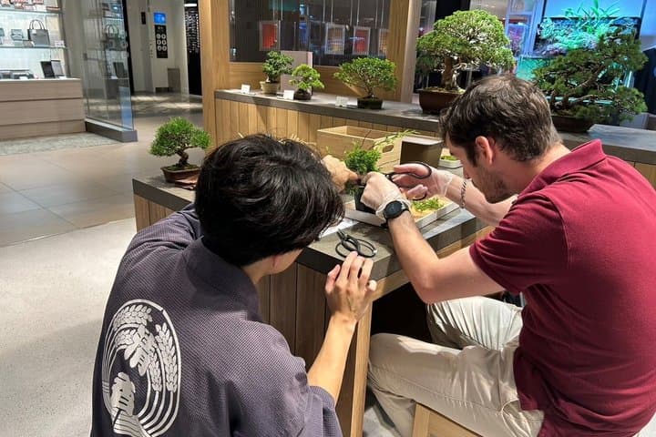Authentic Bonsai Art Workshop in Tokyo — photo 7