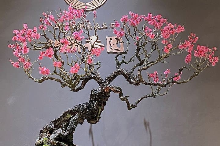 Authentic Bonsai Art Workshop in Tokyo — photo 16