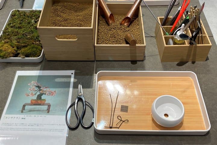 Authentic Bonsai Art Workshop in Tokyo — photo 17