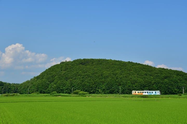 Furano Local Train Tour from Sapporo: Discover Larch Colors — photo 2