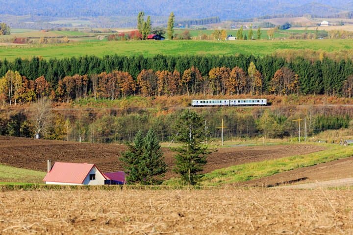 Furano Local Train Tour from Sapporo: Discover Larch Colors