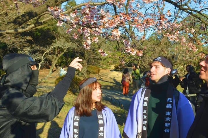Shinjuku Gyoen Hanami and Japanese Sweets Walking Tours — photo 6