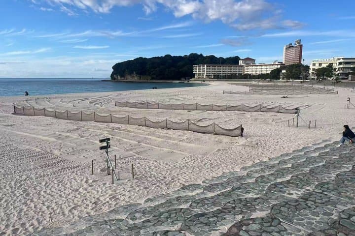 Shirahama Day Trip from Osaka Coastal Small Group — photo 6