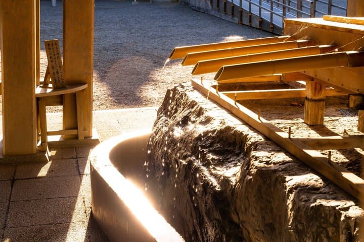 Sapporo Urban Safari Mystical Forest Refined History Tea Ceremony — photo 3