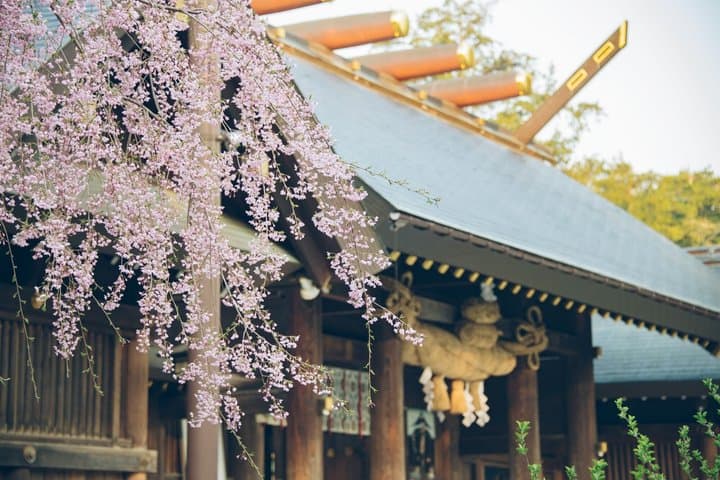 Sapporo Urban Safari Mystical Forest Refined History Tea Ceremony — photo 11