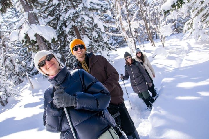 Snowshoe Adventures and Onsen Bliss Winter Escape in Furano — photo 12