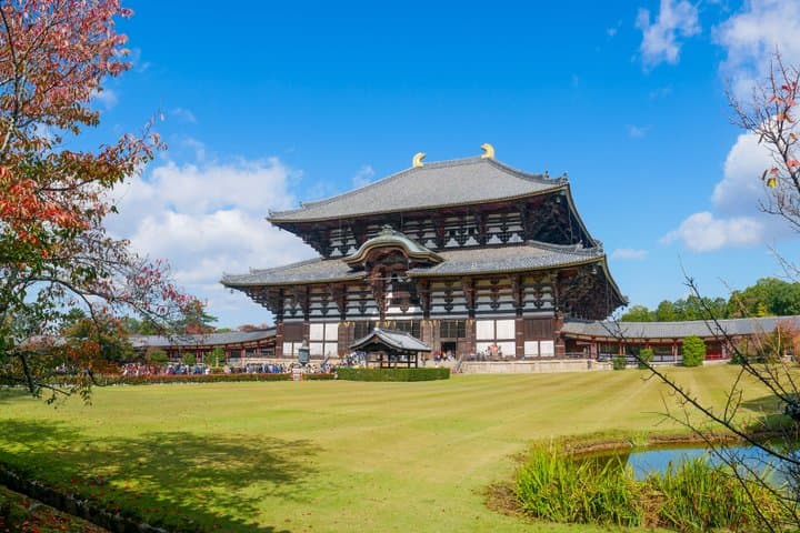 Nara Private Day Trip from Osaka — photo 6