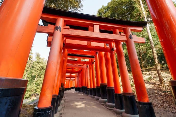 Kyoto Private Day Trip from Osaka — photo 3