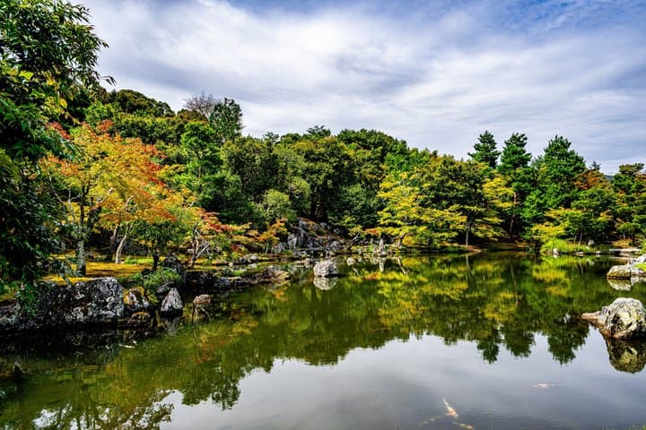Kyoto Private Day Trip from Osaka — photo 4