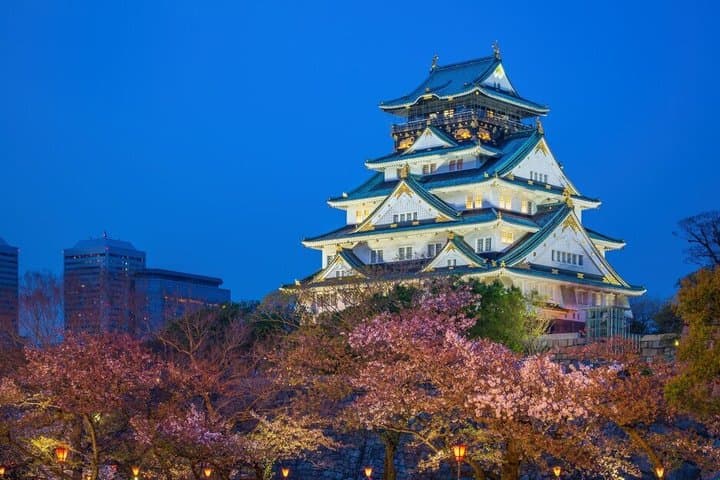 Osaka Private Night Tour — photo 4