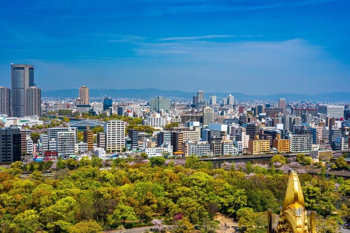 Nara Private Day Trip from Osaka — photo 8