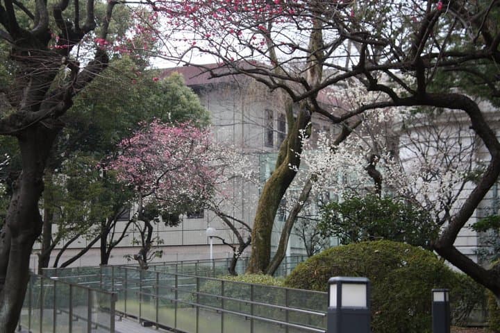 Ueno Park and Ameyoko Street Food Market Half Day Walking Tour — photo 7