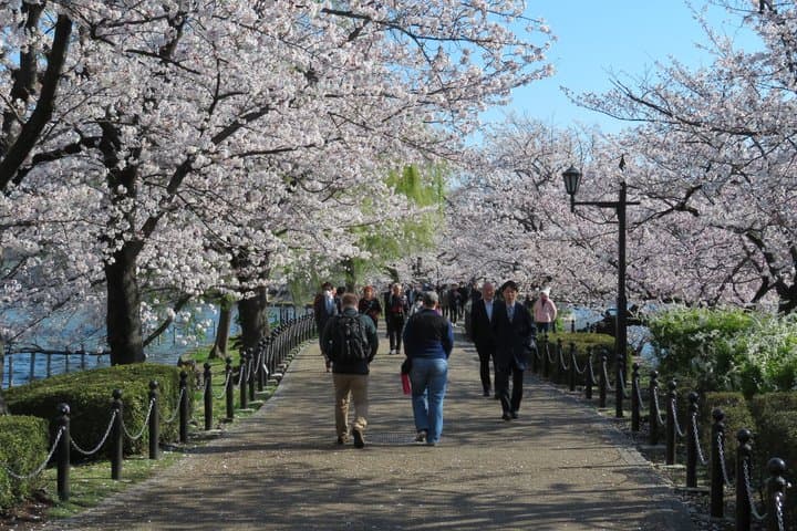 Ueno Park and Ameyoko Street Food Market Half Day Walking Tour — photo 6