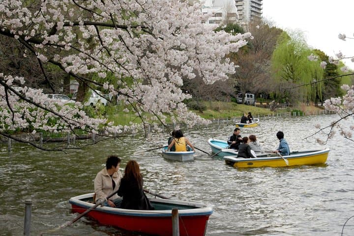 Ueno Park and Ameyoko Street Food Market Half Day Walking Tour — photo 5