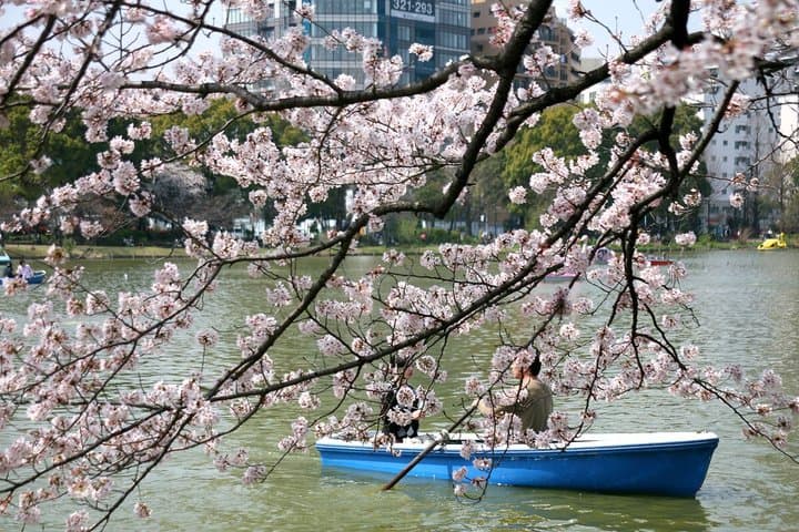 Ueno Park and Ameyoko Street Food Market Half Day Walking Tour — photo 9