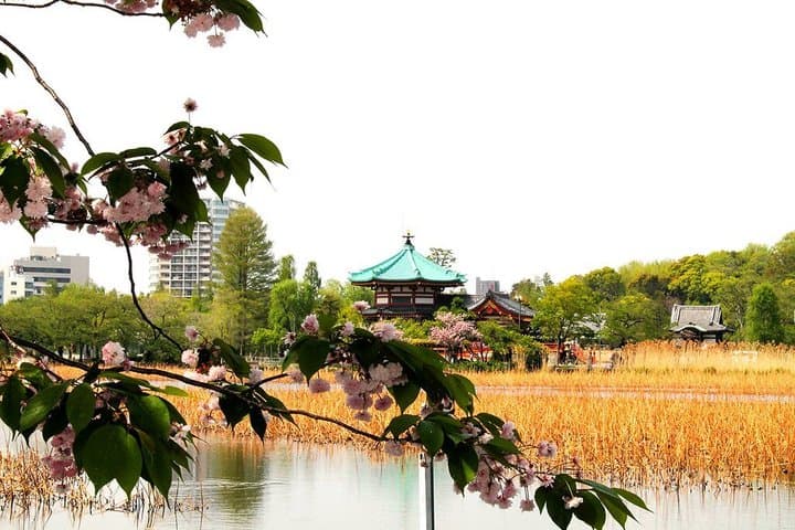 Ueno Park and Ameyoko Street Food Market Half Day Walking Tour — photo 10