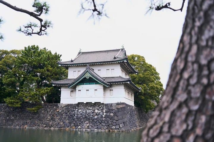 Tokyo: Imperial Palace 1-Hour Walking Tour — photo 8