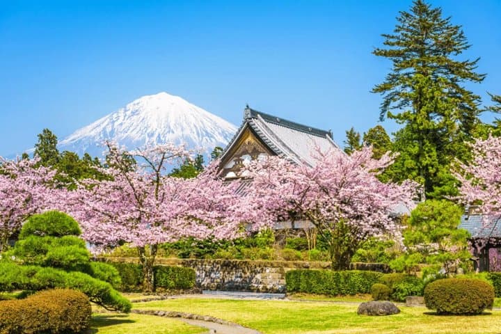 Mt. Fuji Day Trip｜5th Station, Oshino Hakkai, Ropeway with Lunch — photo 3
