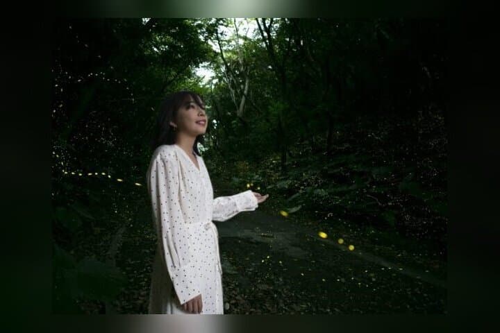 Iriomote Island Yaeyama Firefly Guided Night Tour March to May — photo 6