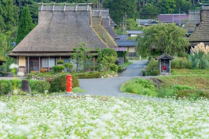Osaka Amanohashidate Ine Bay and Miyama with Lunch Day Trip — photo 10