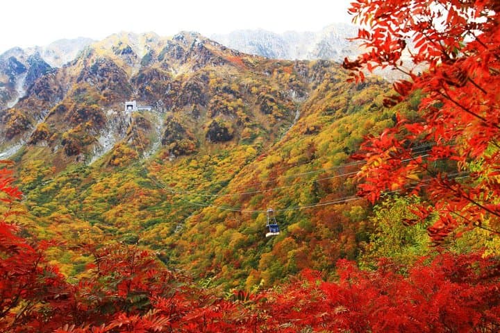Kanazawa/Nagano: Tateyama Kurobe Snow Wall Day Tour — photo 8