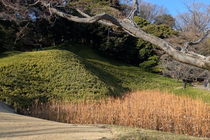 Korakoen Guided Tour Learn About Japanese Gardens — photo 4