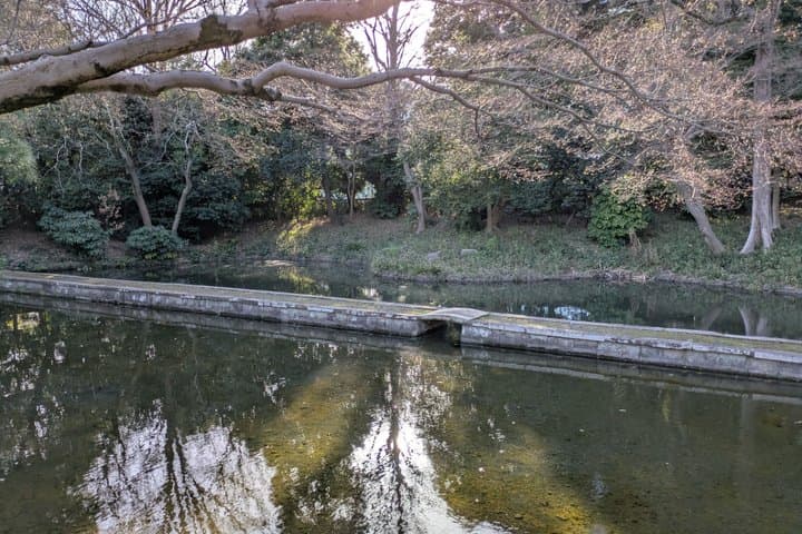 Korakoen Guided Tour Learn About Japanese Gardens — photo 6