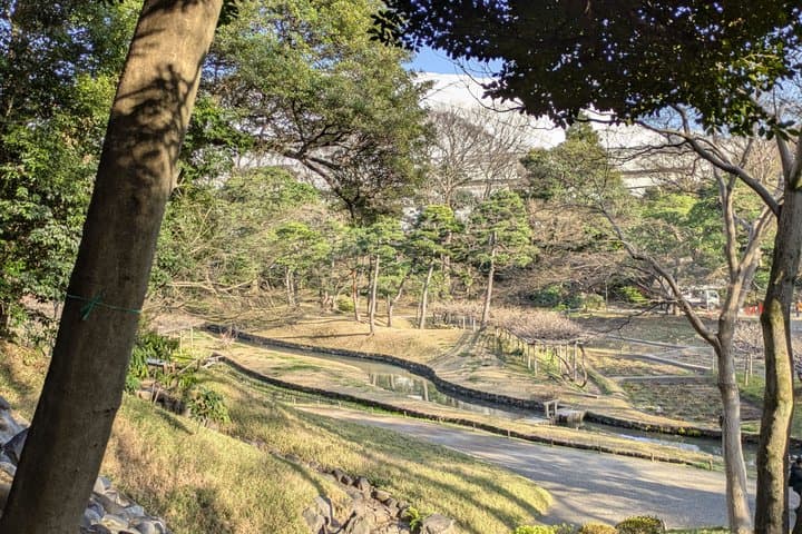 Korakoen Guided Tour Learn About Japanese Gardens — photo 9