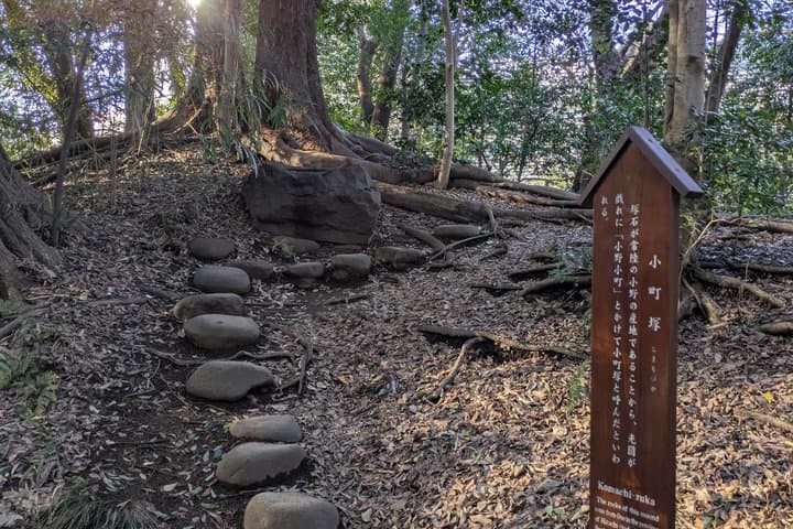 Korakoen Guided Tour Learn About Japanese Gardens — photo 11