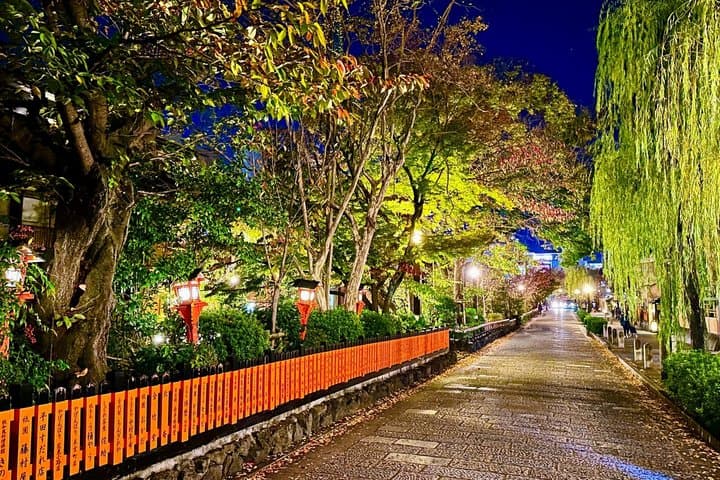 Kyoto: Private LED E-Bike Night Ride Through Gion — photo 5