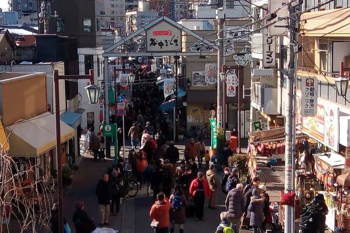 Day Trip Cycling in Tokyo — photo 6