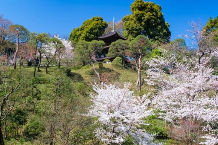 Day Trip Cycling in Tokyo — photo 8