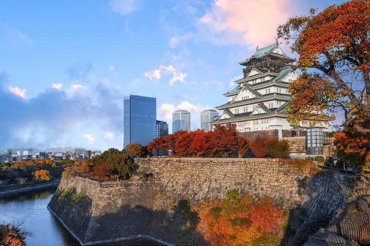 Osaka Private City Highlights Tour — photo 5