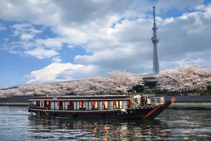 Tokyo Half Day Cruise Shibuya Imperial Palace Tea Ceremony — photo 12
