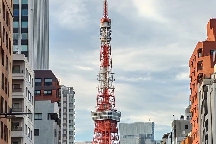 Tokyo Half-Day Tour | Shinjuku Gyoen, Tokyo Tower, Asakusa Temple — photo 5