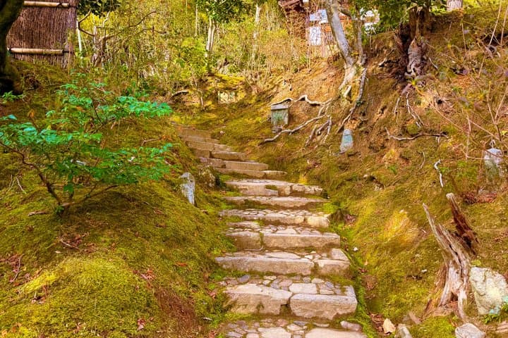 Arashiyama Beyond the Crowds: Bamboo Grove & Hidden Paths — photo 14
