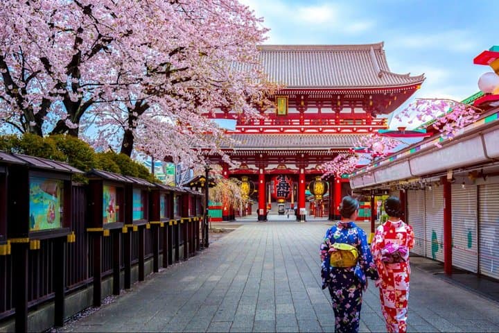 Cherry Blossom Tour in Tokyo with Fun Guide — photo 2