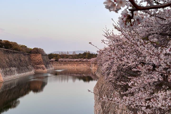 Kimono shooting at Osaka Castle and Stroll — photo 2