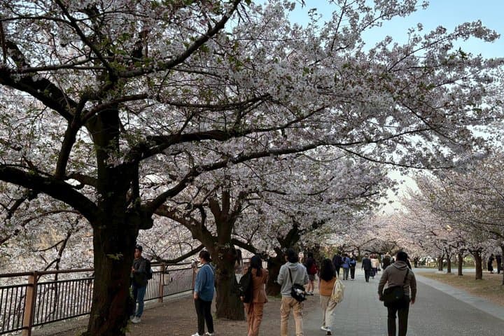 Kimono shooting at Osaka Castle and Stroll — photo 8