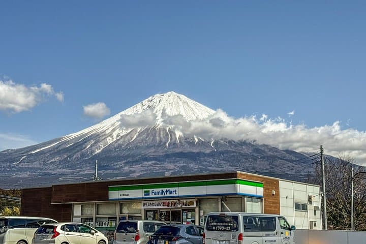 Mt Fuji World Heritage Private Tour by Bullet Train and Car — photo 3