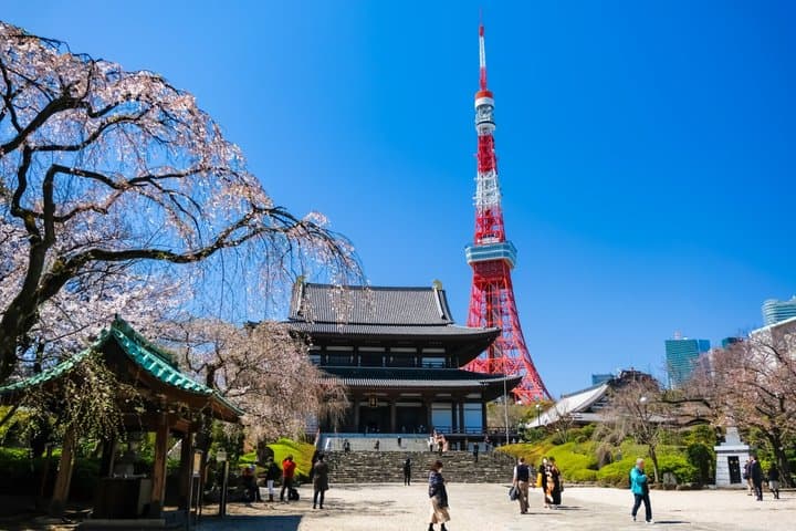 Tokyo Temples & Shrines Tour: Meiji Shrine, Asakusa & Zojoji — photo 2