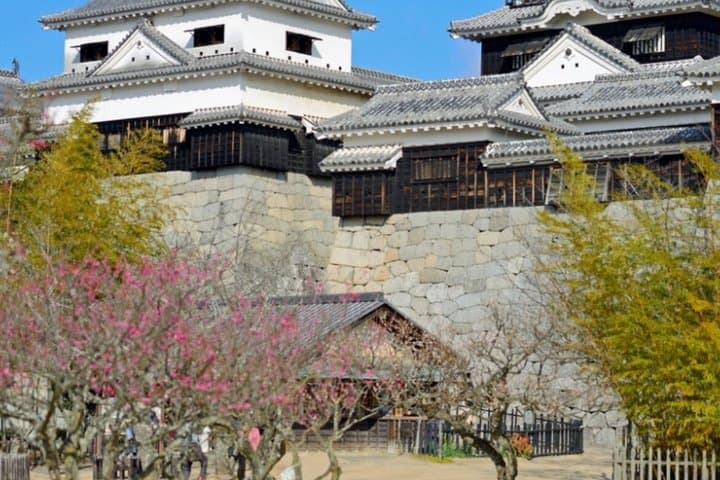 Private Tea Ceremony in Matsuyama Castle | Make Your Own Matcha — photo 6