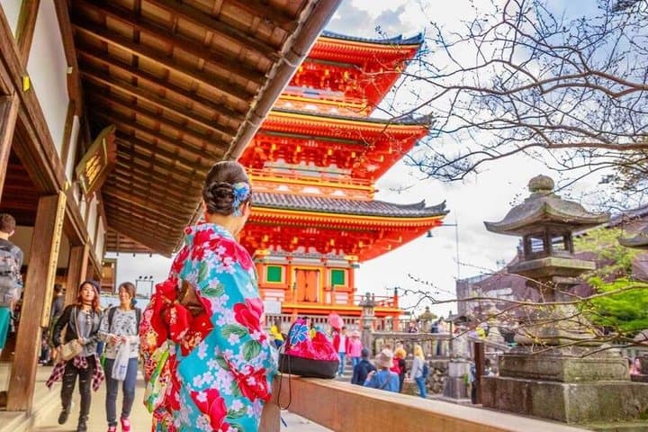Golden Pavilion Kiyomizu Temple and Fushimi Inari Shrine Tour — photo 7