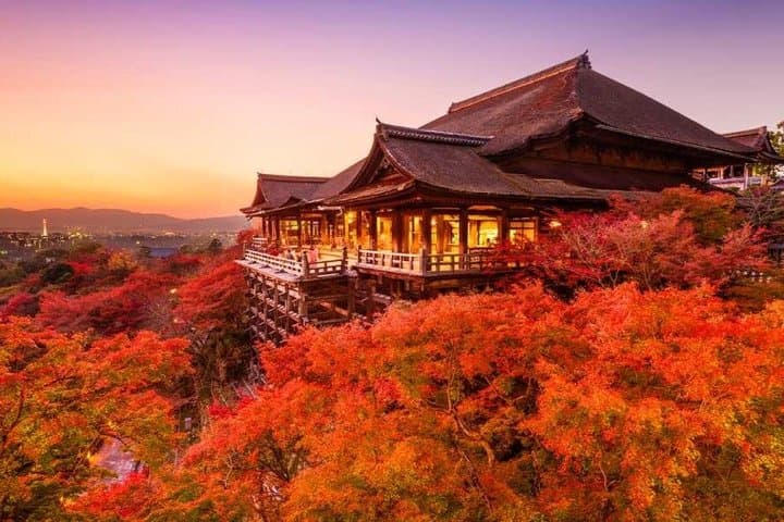 Golden Pavilion Kiyomizu Temple and Fushimi Inari Shrine Tour — photo 8